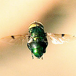 Profile Picture of Ernesto Carvajal (@ernestocarvajal) on Flickr