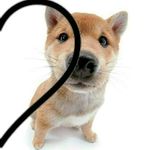 Prince Emer Tabfunda - Instagram Profile Picture of Prince Emer Tabfunda (@princeemer) on Instagram