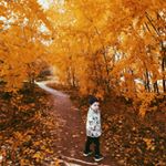 Profile Picture of Романов Марк Никитич (@romanovmarknikitich) on Instagram