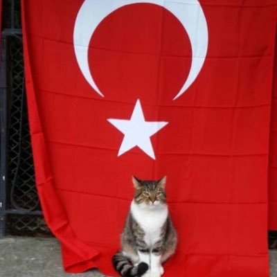 Profile Picture of Yusuf Kaya (@Yusuf_Kaya_t) on Twitter