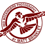 Profile Picture of Matt Brinkley (@redmockingbird) on Flickr