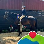 Profile Picture of colleen irish-toscano (@irish_toscano1112) on Instagram