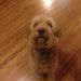 Profile Picture of Leslie Brunelli (@momtwogingers) on Pinterest