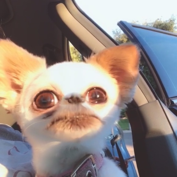 Profile Picture of Ruben Rivera (@bigboyruben12) on Poshmark