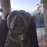 Profile Picture of Riley Adaszko (@rileyadaszko) on Instagram