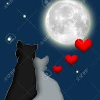 Profile Picture of Luz Oliver (@luz.oliver.5621) on Facebook