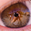 Profile Picture of Josh Gustafson (@JoshGustafson) on Flickr