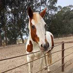 Profile Picture of Jess (@_jessicasquires) on Instagram