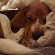 Profile Picture of N Harris (@nharris1351) on Youtube