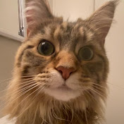 Profile Picture of Julia Stone (@juliastone253) on Youtube