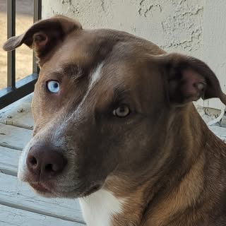 Profile Picture of Sean Bellamy (@bellamysean) on Instagram