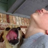 Profile Picture of Nathan Zimmer (@@zilm) on Tiktok