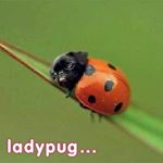 Profile Picture of jo Neilson (@joanna.neilson77) on Instagram