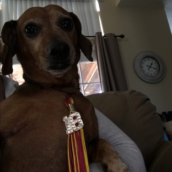 Profile Picture of Lance Harden (@hancelarden) on Poshmark