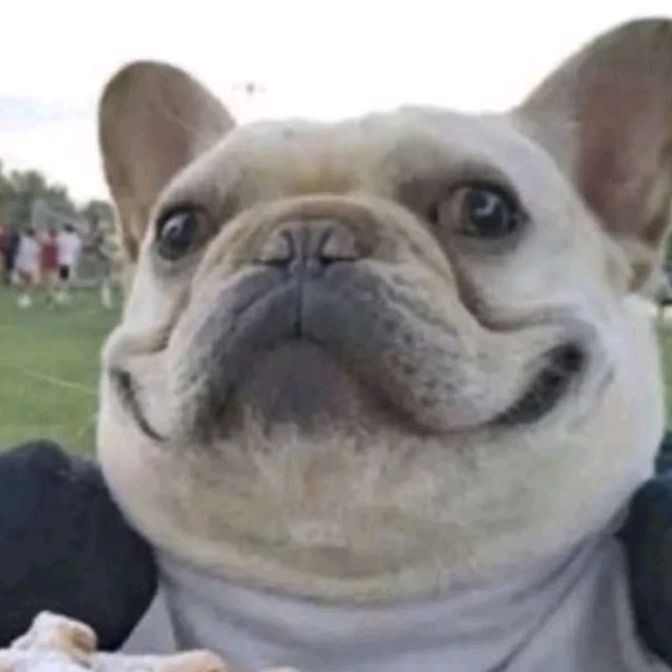Profile Picture of Matthew (@matthewjberzai) on Tiktok