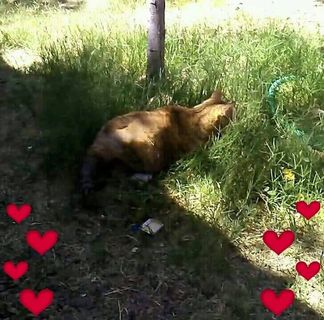 Profile Picture of Berta McDaniel (@berta.mcdaniel.34) on Facebook