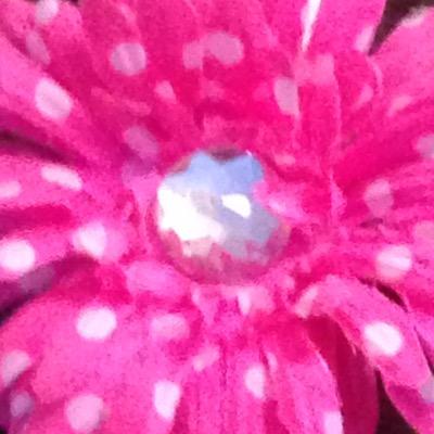 Profile Picture of Shelley Michaud (@Michaudmom5) on Twitter