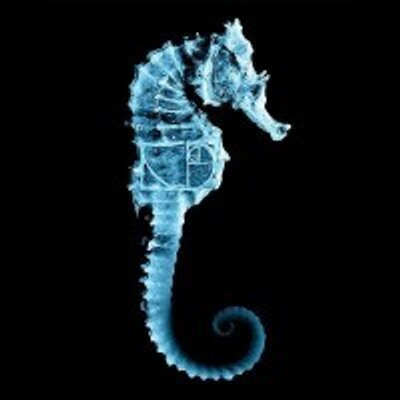Profile Picture of David Rittenhouse (@rittenhaus) on Twitter