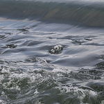 Profile Picture of John Wiley (@wileyjohn58) on Flickr