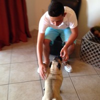 Profile Picture of Alejandro Ortiz (@alejandro-ortiz-39) on Quora