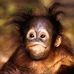 Profile Picture of David Farrer (@david.farrer.718) on Facebook