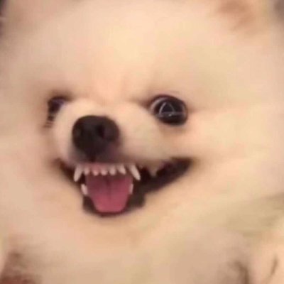 Profile Picture of Dick Johnson (@DickJoh19214670) on Twitter