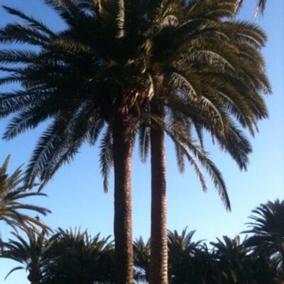 Profile Picture of Brian M Harte (@PalmB81) on Twitter