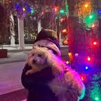 Profile Picture of LeeAnn Witt (@LeeAnn-Witt) on Facebook