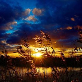 Profile Picture of Paula Obert (@obertp) on Pinterest