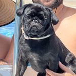 Profile Picture of Toby Garcia Dutra (@toby.gd) on Instagram