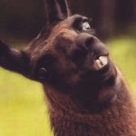 Profile Picture of Joevansant (@big_cat_121803) on Instagram