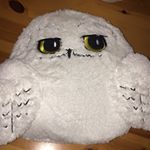 Profile Picture of Gino🦉 (@ginogagliardigino) on Instagram