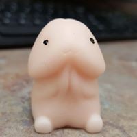 Profile Picture of Cheryl Cooper (@cheryl-cooper-45) on Quora