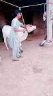 Profile Picture of   Amman Qureshi... (@ammanqureshi91) on Tiktok