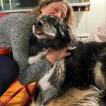 Profile Picture of Heather Dougherty (@dougherty235) on Instagram