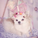 Profile Picture of Hoekstra Elliott (@elliott_hoekstra) on Instagram