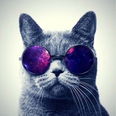 Profile Picture of Thomas (@ThomasLucero20) on Twitter