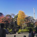 Profile Picture of Cynthia Yap (@cynthia.yap.39) on Instagram