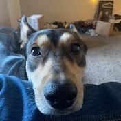 Profile Picture of Jonathan Stern (@mozspock) on Youtube