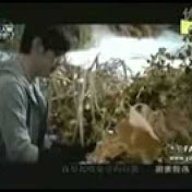 Profile Picture of Jason Chong (@tamiya83) on Youtube