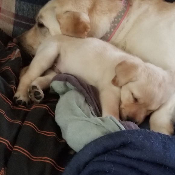 Profile Picture of Gary Kulhanek (@meadowmyles) on Poshmark