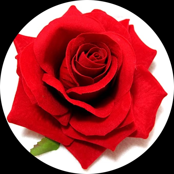 Profile Picture of Rocio Serrano (@rocy523) on Poshmark