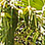 Profile Picture of Terry (@terry11inches) on Flickr