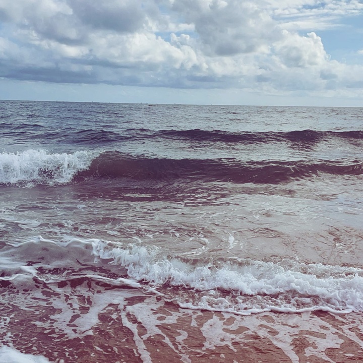 Profile Picture of 𝐀𝐯𝐚✯ (@avamcfarlane0) on Tiktok