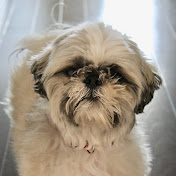 Profile Picture of Todd Hepburn (@toddhepburn7202) on Youtube