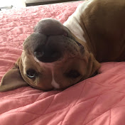 Profile Picture of Audrey Allen (@audreyallen2172) on Youtube