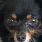 Profile Picture of LuKa LeO (@lukal_31.bln) on Instagram