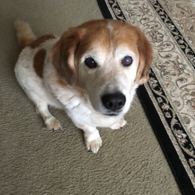 Profile Picture of Nancy Montell (@montell_nancy) on Twitter