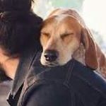 Profile Picture of Brian Patel (@brian_ptl) on Instagram
