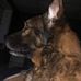 Profile Picture of Larry Kreiser (@larry.kreiser.1) on Facebook